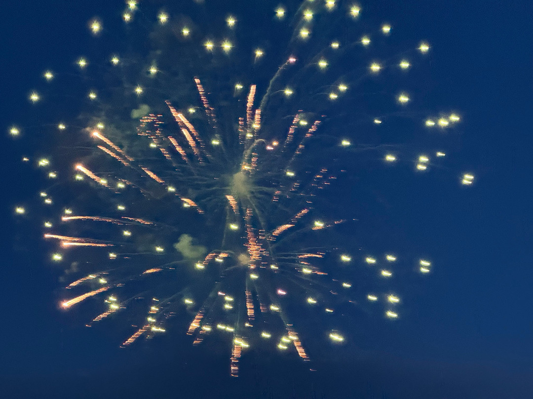 Cap'n Fish's Cruises-布斯贝港必去景点