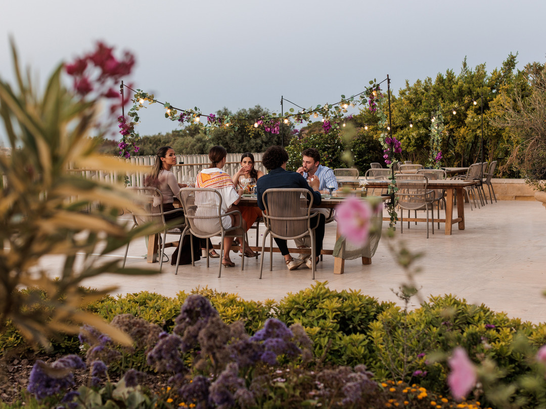 Ta' Betta Wine Estates-Siggiewi必去景点