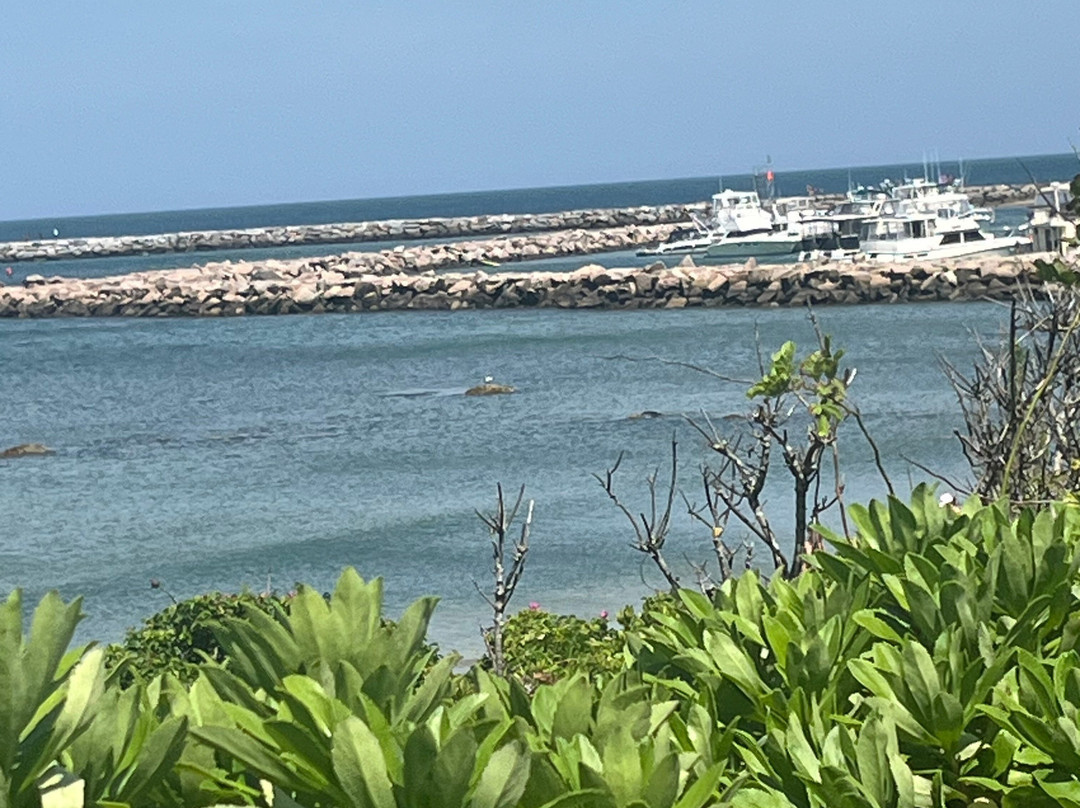 Avonlea, Jewel of the Sea主图