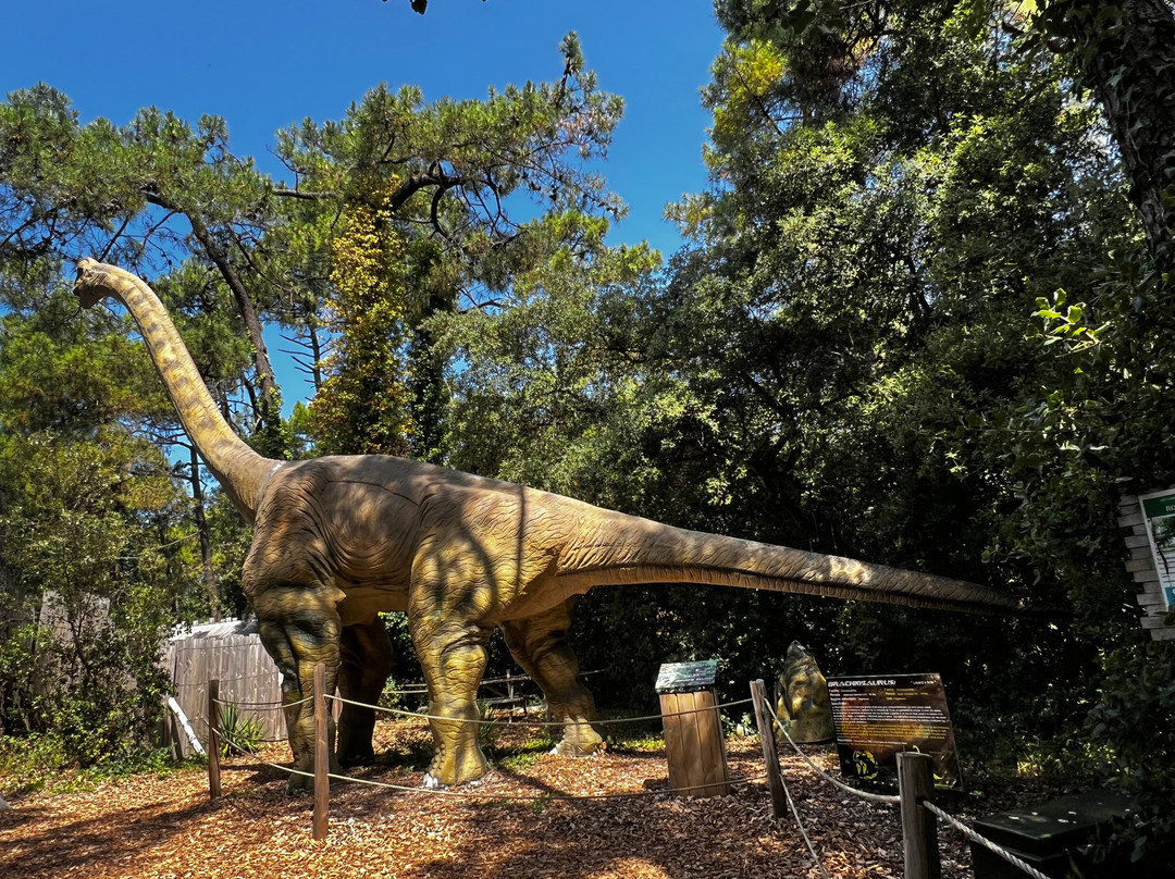 Dino's Park-Saint-Hilaire-de-Riez必去景点