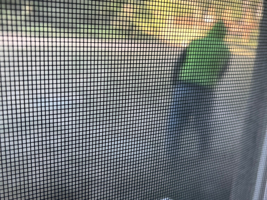 Squirrel Tree Resort主图