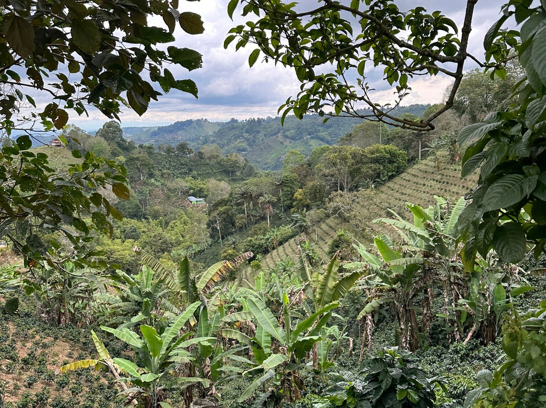 Terasu Salento Hotel Boutique主图