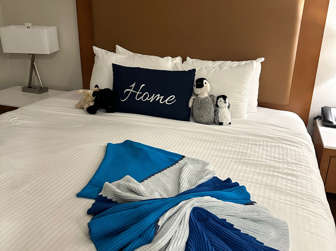 Divi Aruba Phoenix Beach Resort主图