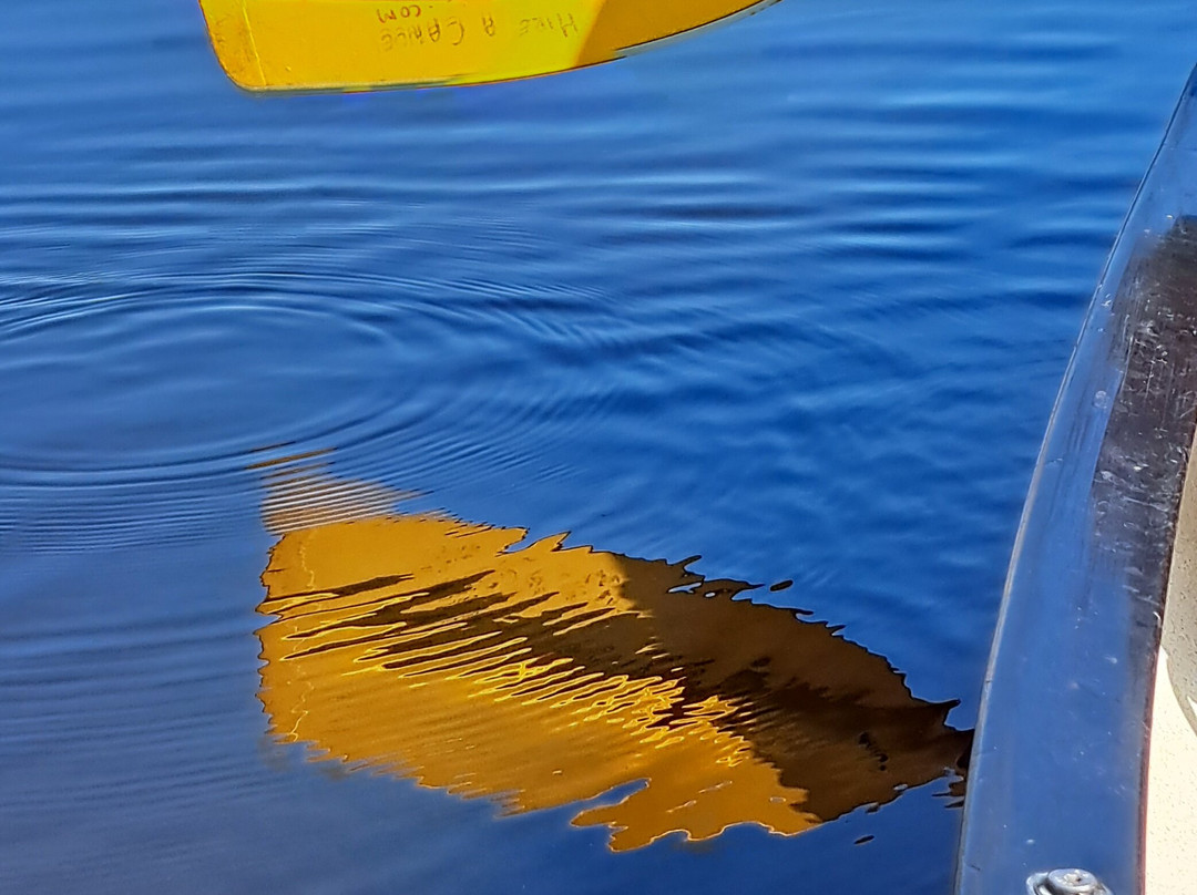 Hire a Canoe-什鲁斯伯里必去景点
