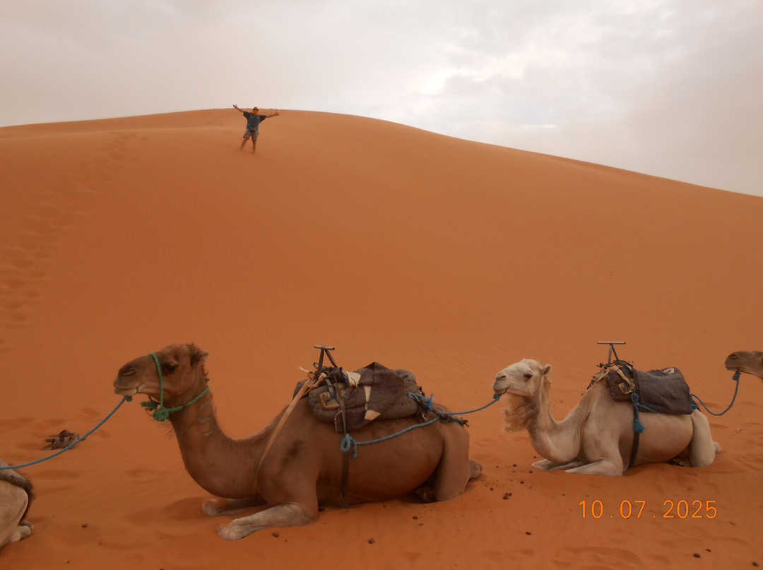 Sky Morocco Trips-非斯必去景点