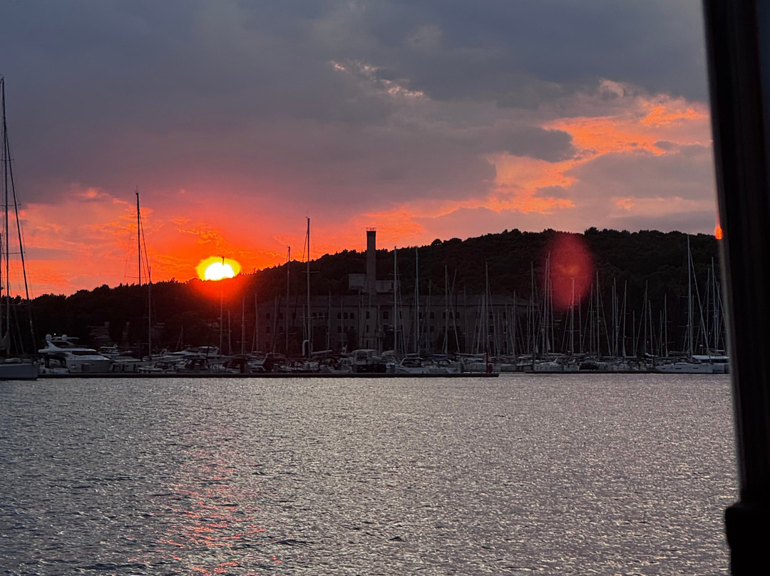 Burin Dolphin excursion Pula-普拉必去景点