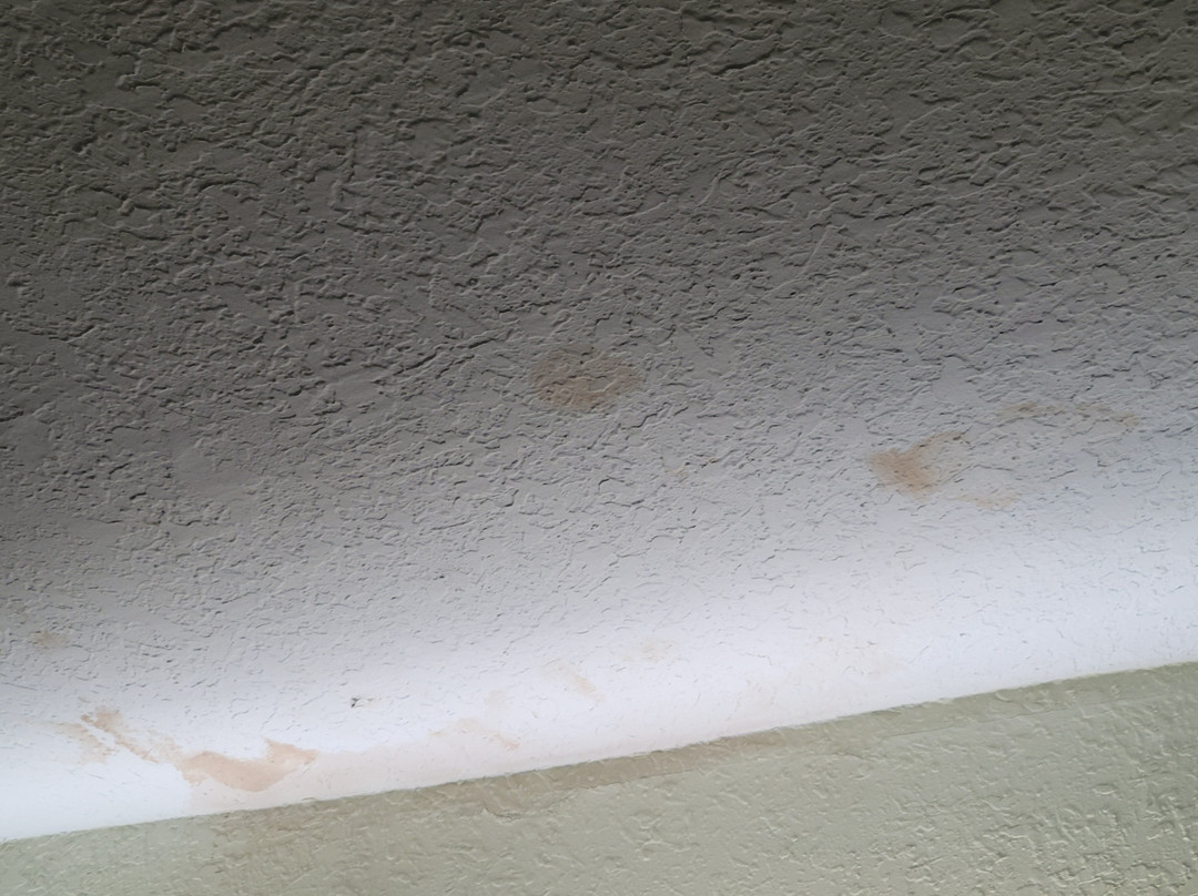 The Deland Hotel主图