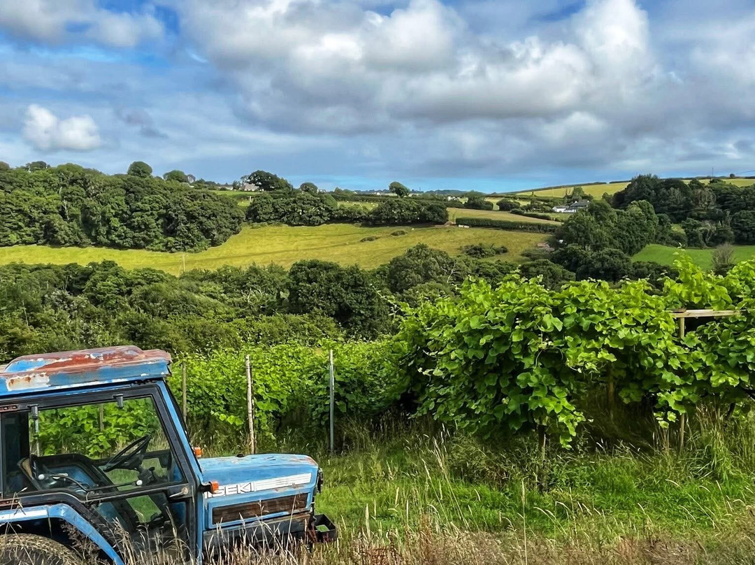 Looe Valley Vineyard-卢城必去景点