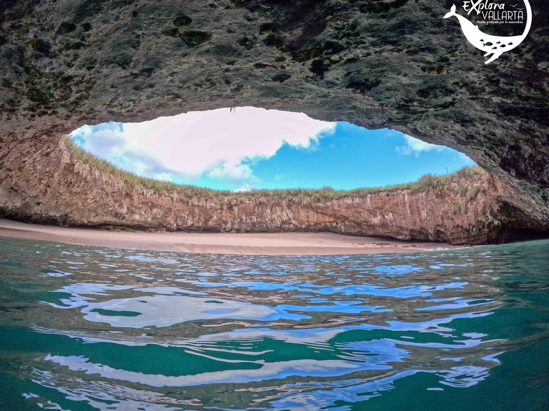 Explora Vallarta-瓦拉塔港必去景点