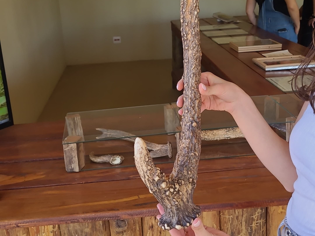 Bioparque Serra Negra-塞拉内格拉必去景点