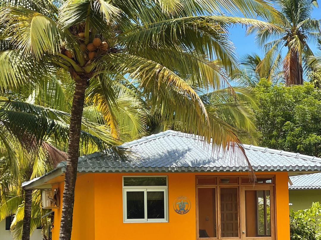 Lago Bay-Lagartero必去景点