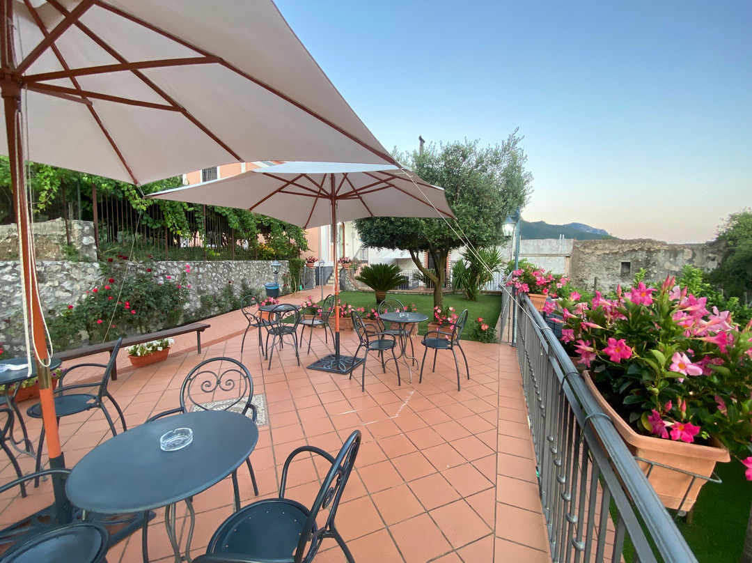 Farfalle E Gabbiani主图