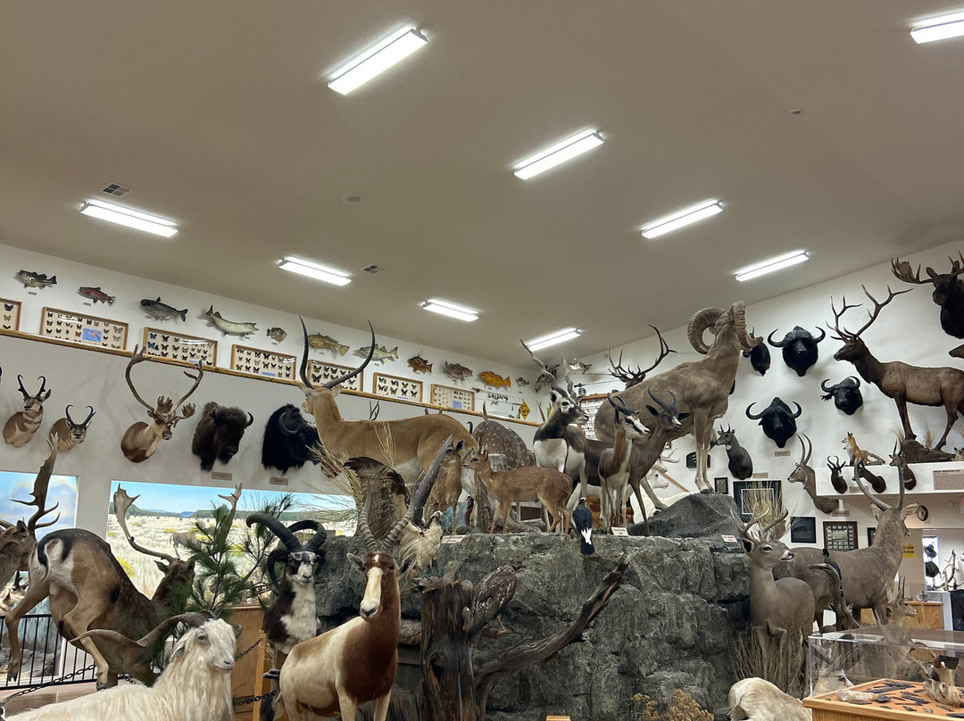 Bryce Wildlife Adventure-布莱斯必去景点