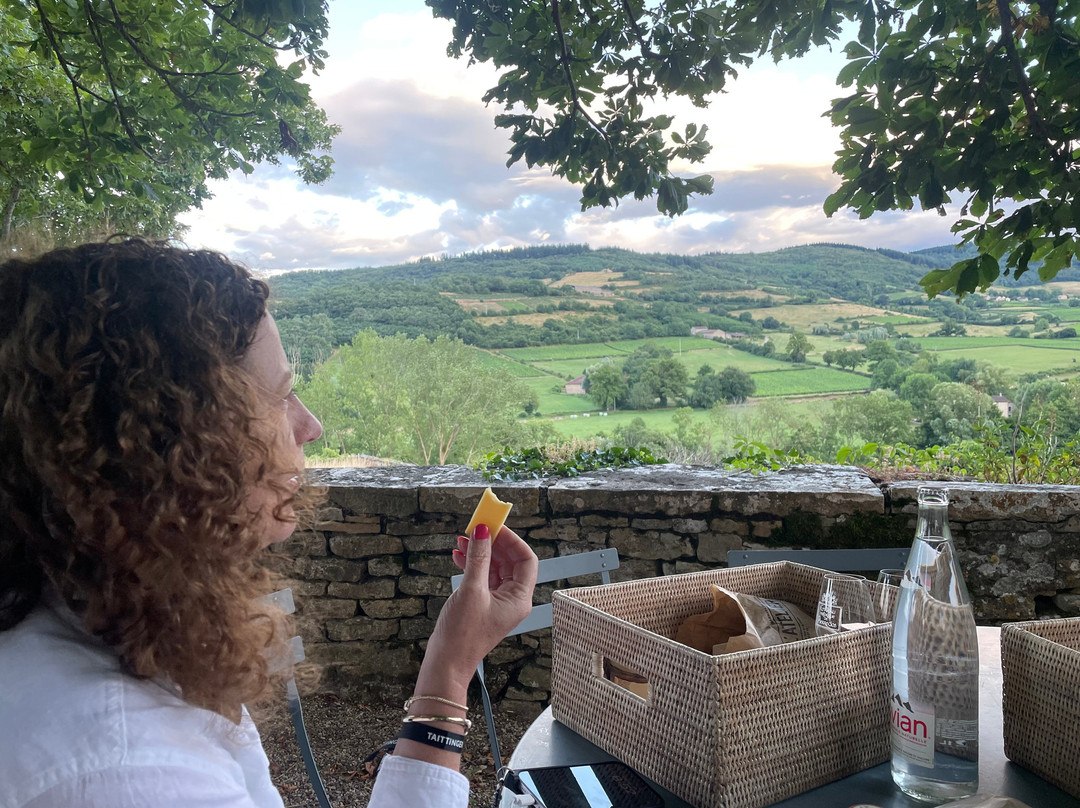 Château de Pierreclos主图