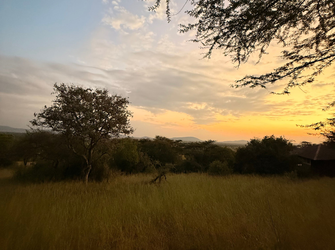 Mbalageti Safari Camp主图