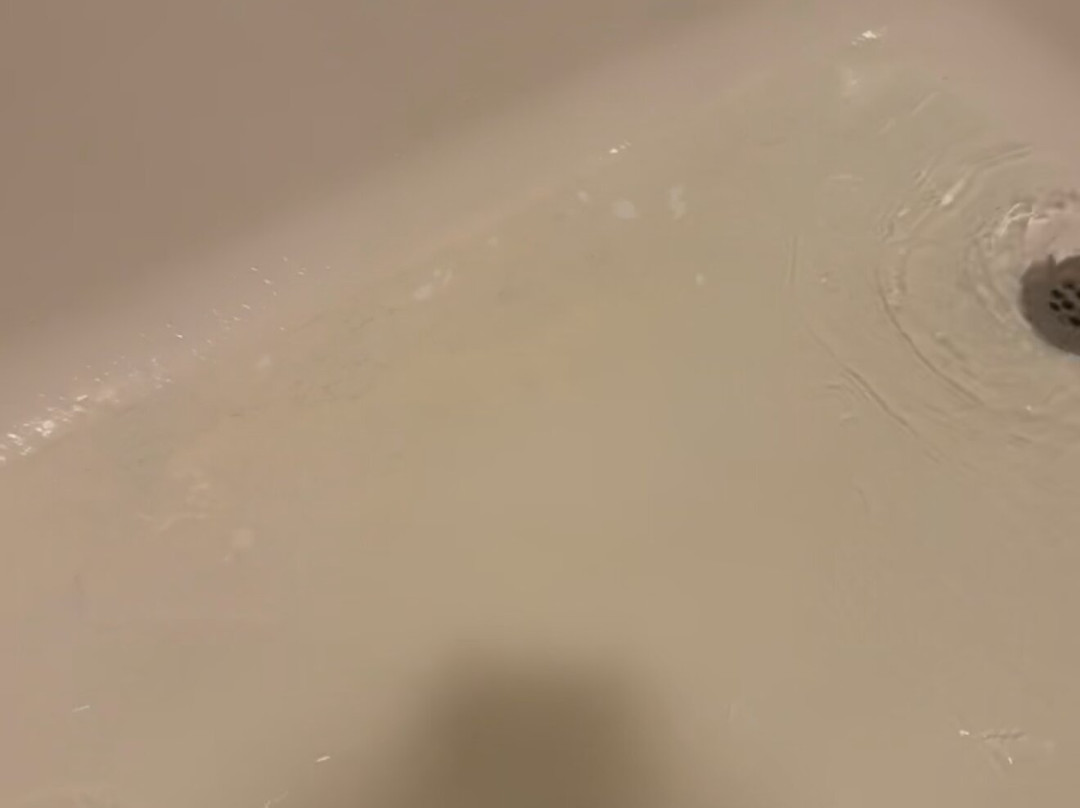 Best Western Windsor Inn主图