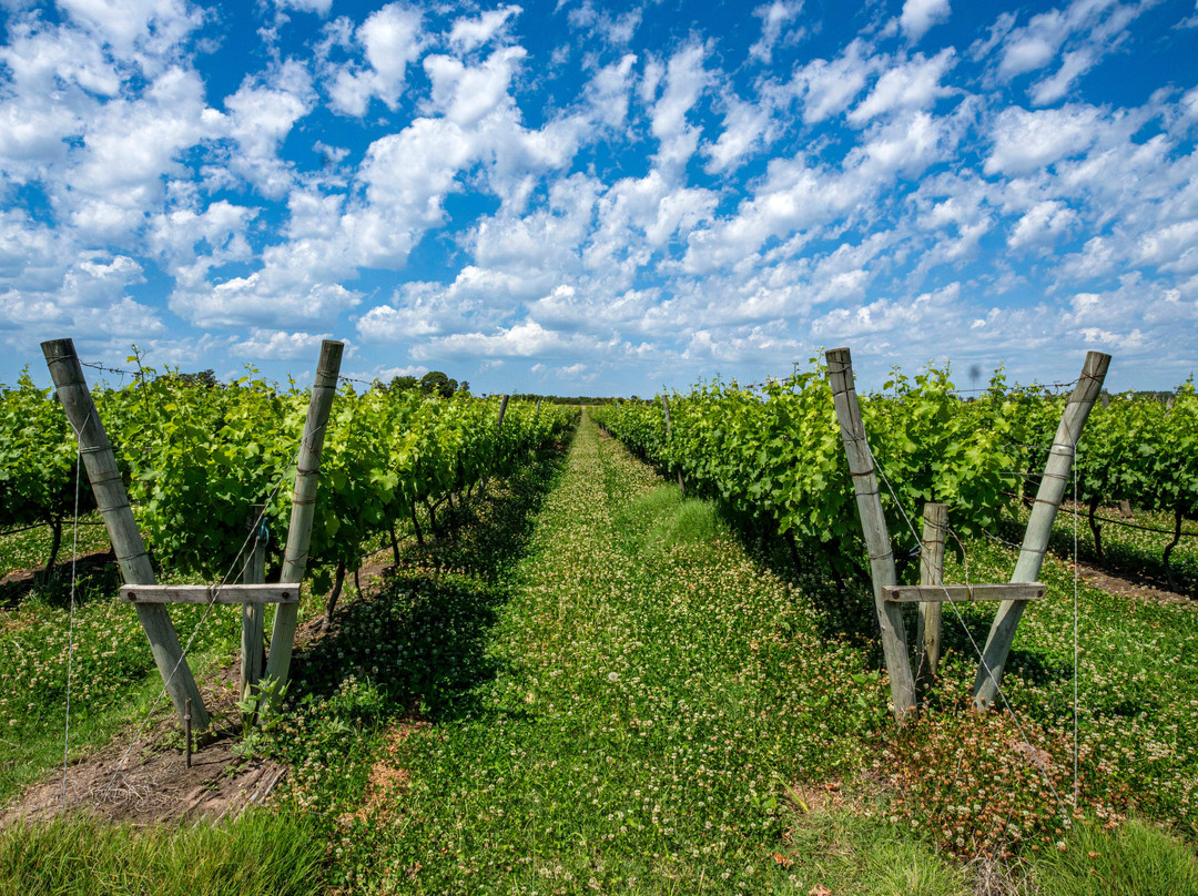 Bodega Garaje Casa Grande-Canelones必去景点