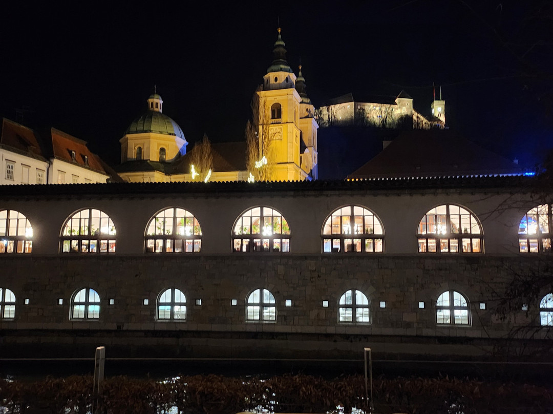 Franciscan Church (Frančiškanska cerkev)-卢布尔雅那必去景点