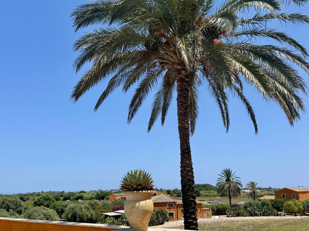 Feudo Maccari-诺托必去景点