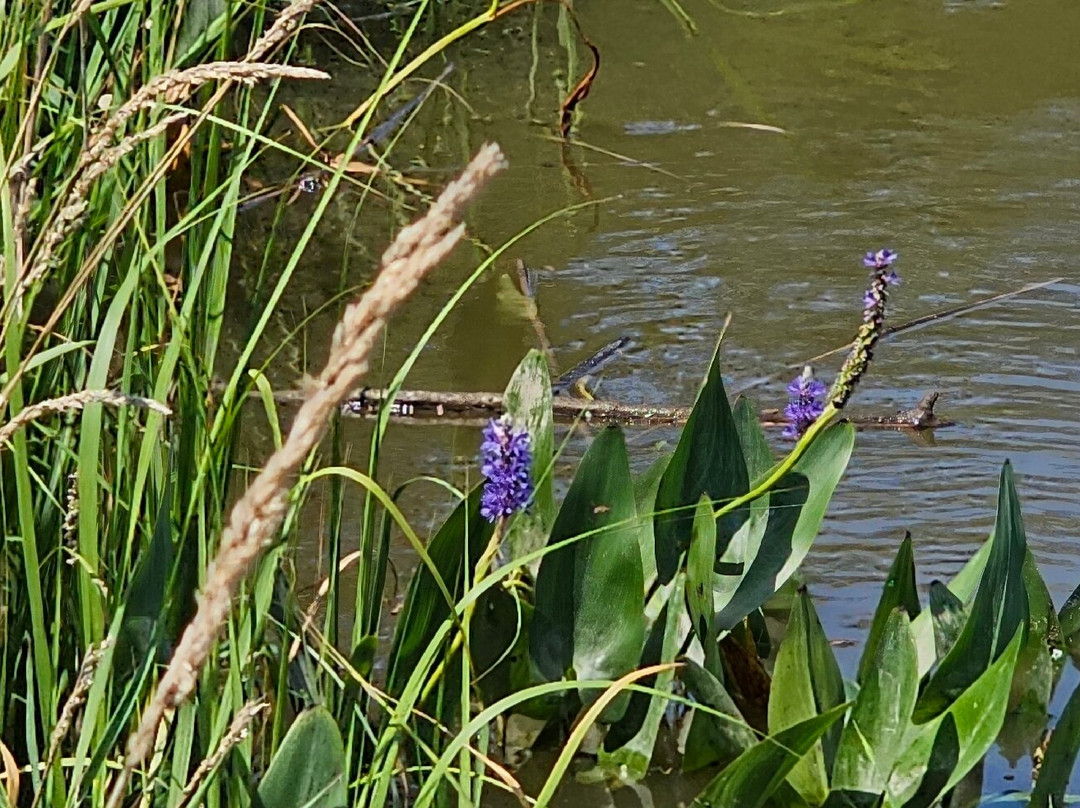 Elk River Park-埃尔克顿必去景点