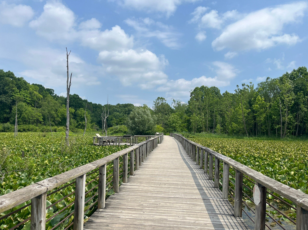 Beaver Marsh-Peninsula必去景点