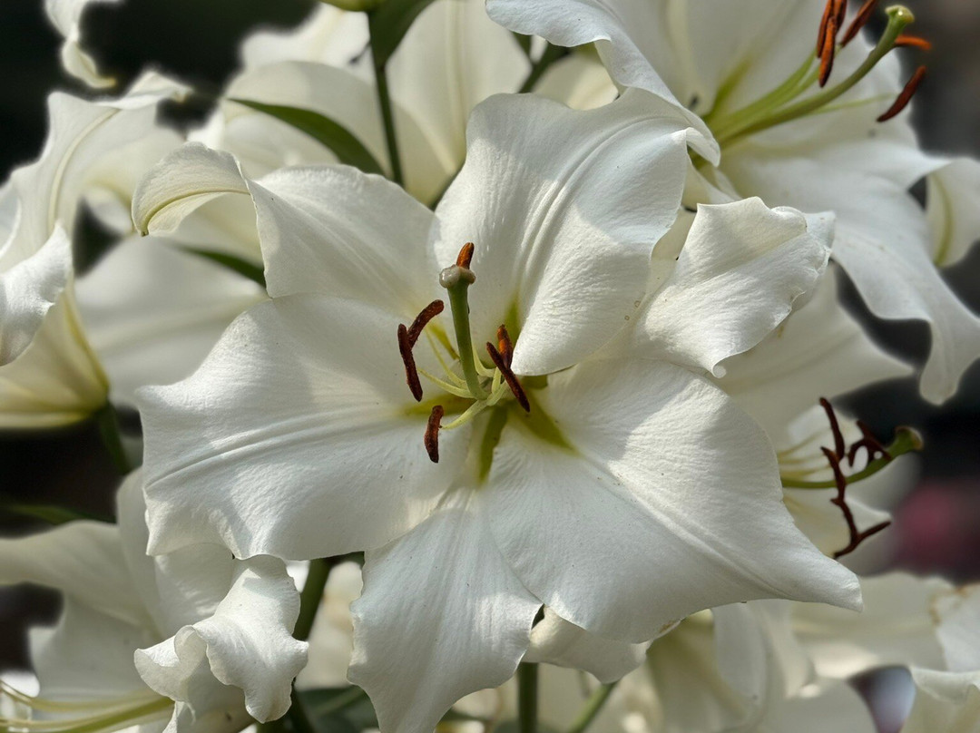 Im Malerwinkel主图