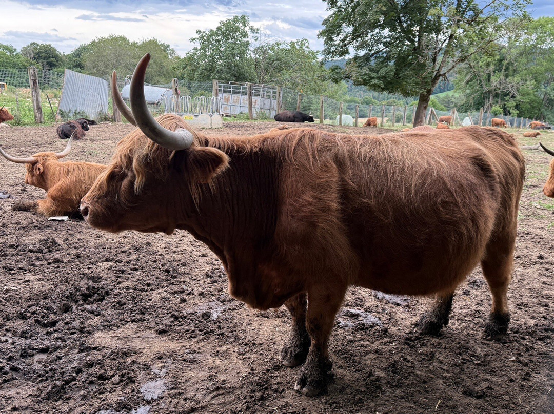 小科尔伯格餐厅酒店主图