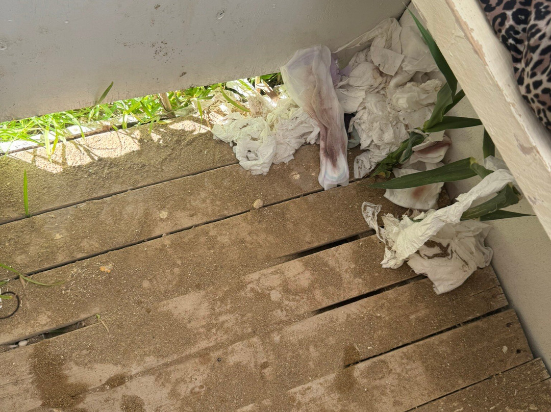 Avithos Beach-阿尔戈斯托利翁必去景点