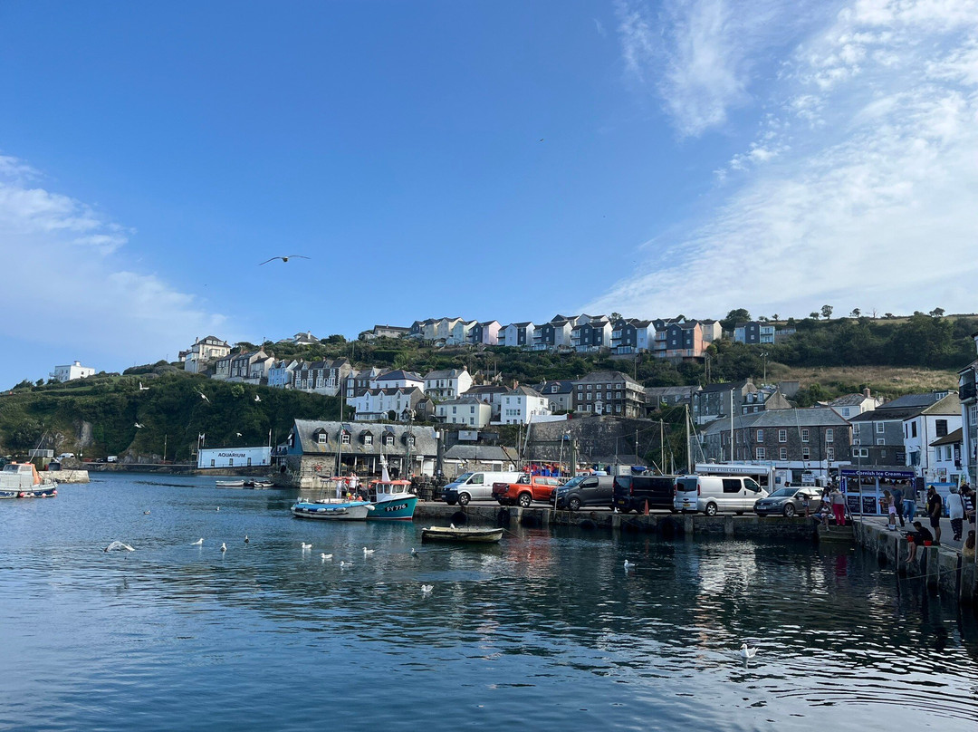 Mevagissey Harbour Wall-梅瓦吉西必去景点
