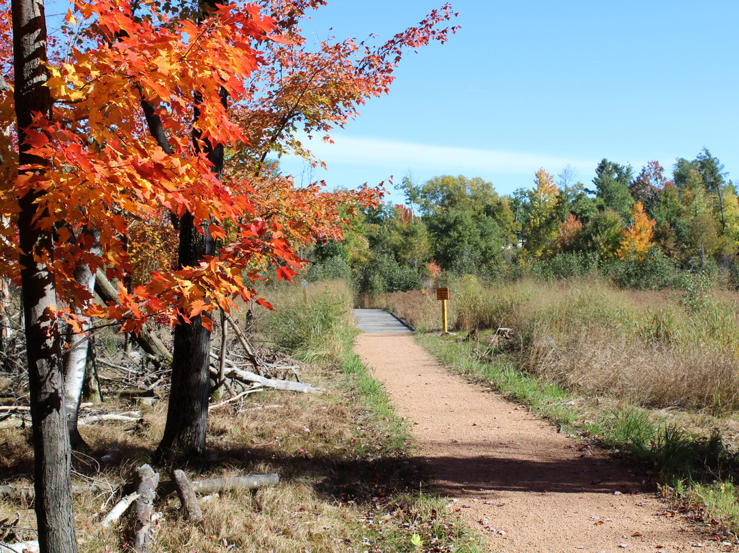Schmeeckle Reserve-Stevens Point必去景点
