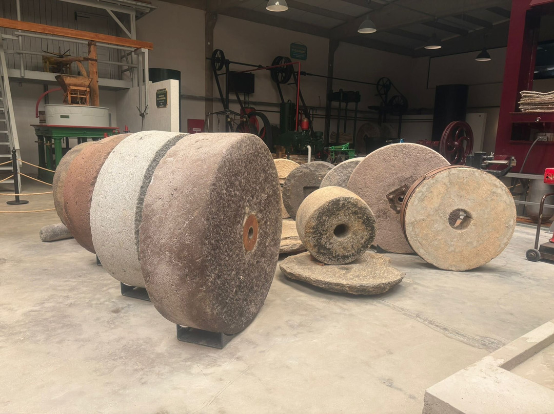 Kostem Zeytinyagi Muzesi-Urla必去景点