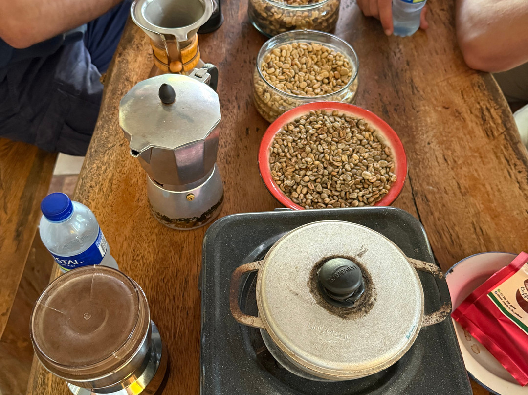 Rural Adventure-Filandia必去景点