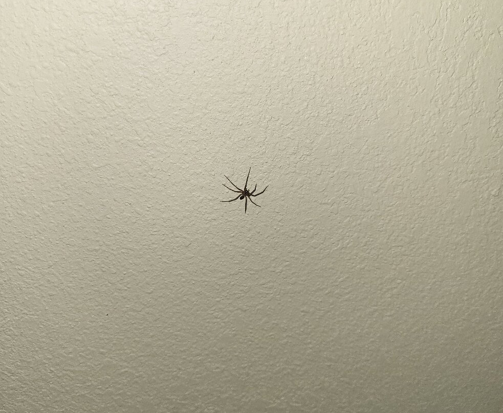 Best Western Stateline Lodge主图