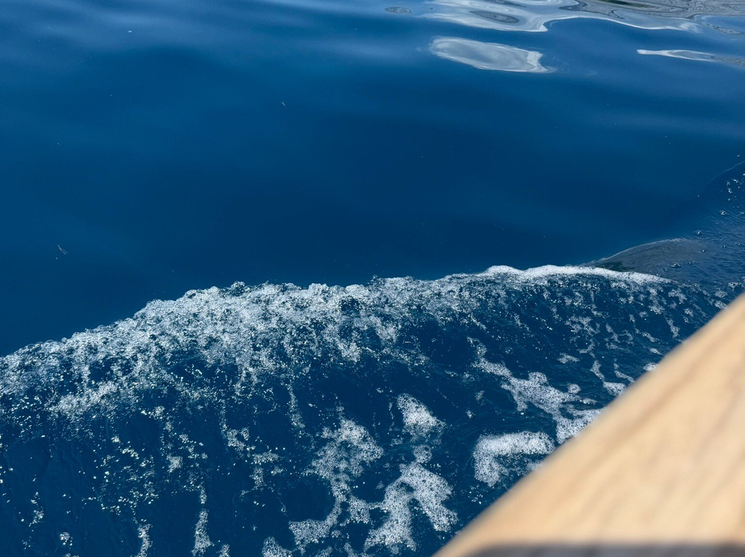 Fish & Trips & More-Podgora必去景点