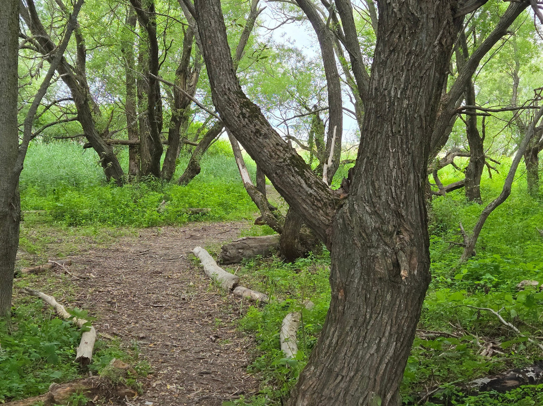 Hotel Centre-Ville主图