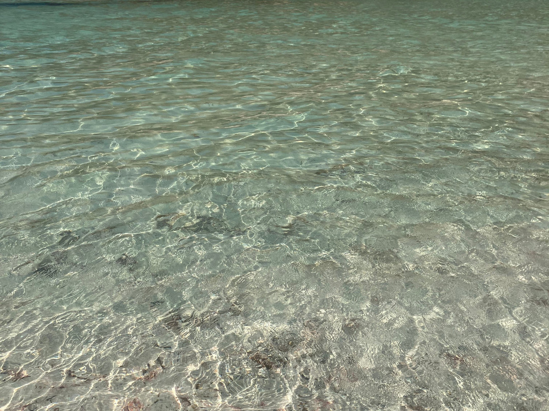 TravelPath AllcreteTours-克里特岛必去景点