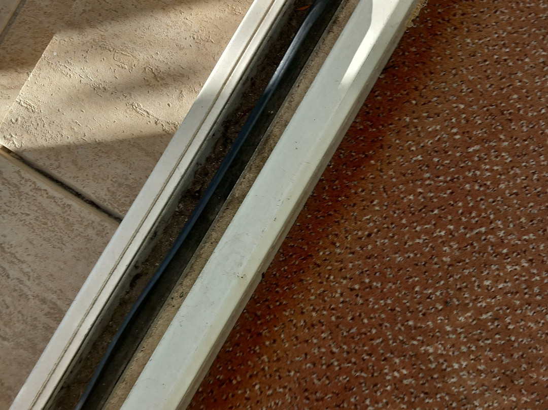 潘诺尼亚酒店主图