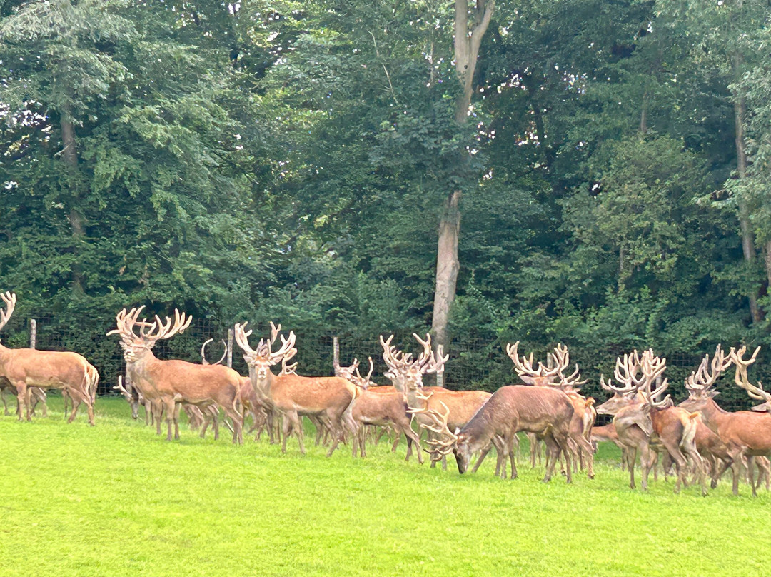 Rêve de Bisons-Muchedent必去景点