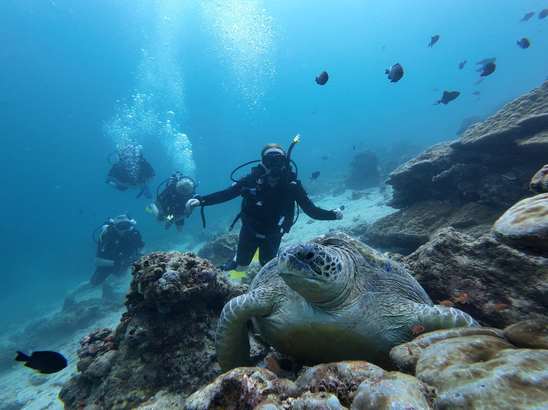 仙本那马布岛潜水度假村主图