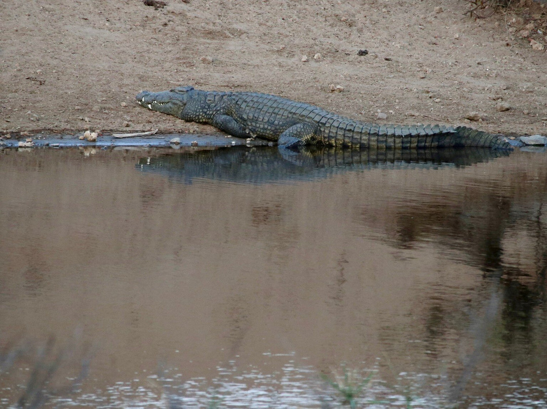 Nandzana Safaris-伐拉博瓦必去景点