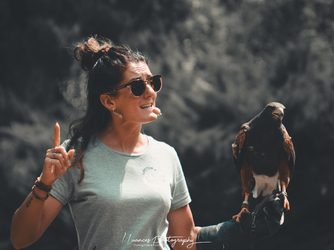 Les Aigles d'Aure - Volerie des Pyrenees-Arreau必去景点