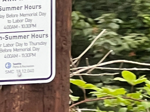 金园公园-西雅图必去景点