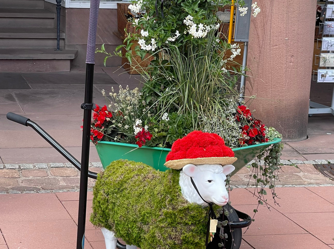 Marktplatz-Freudenstadt必去景点