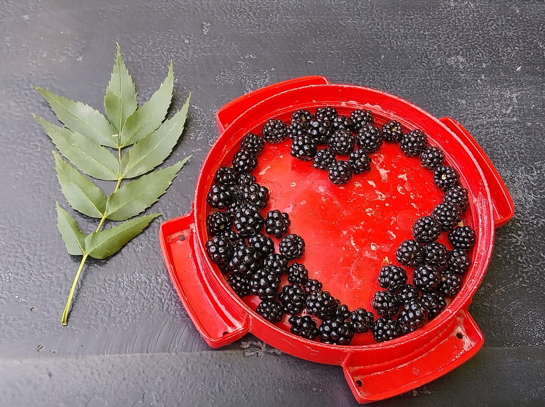 La Grenouille Bleue-Damvix必去景点