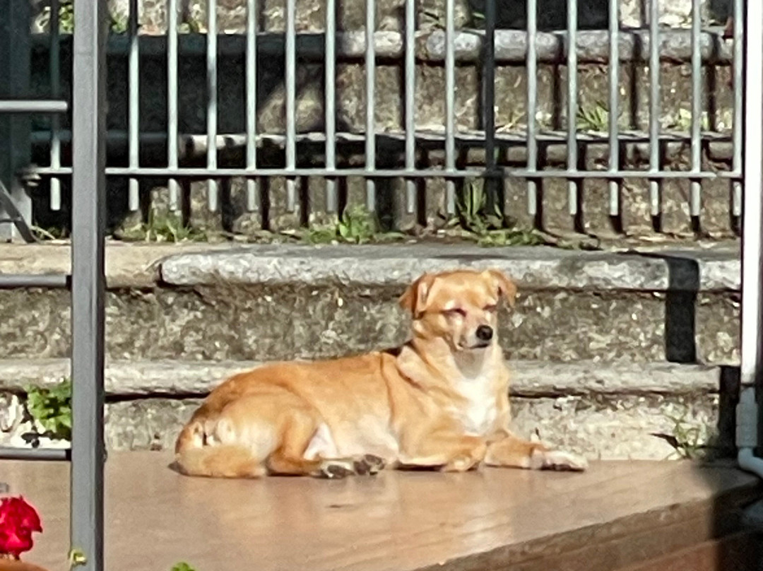 Castello di San Sebastiano da Po主图