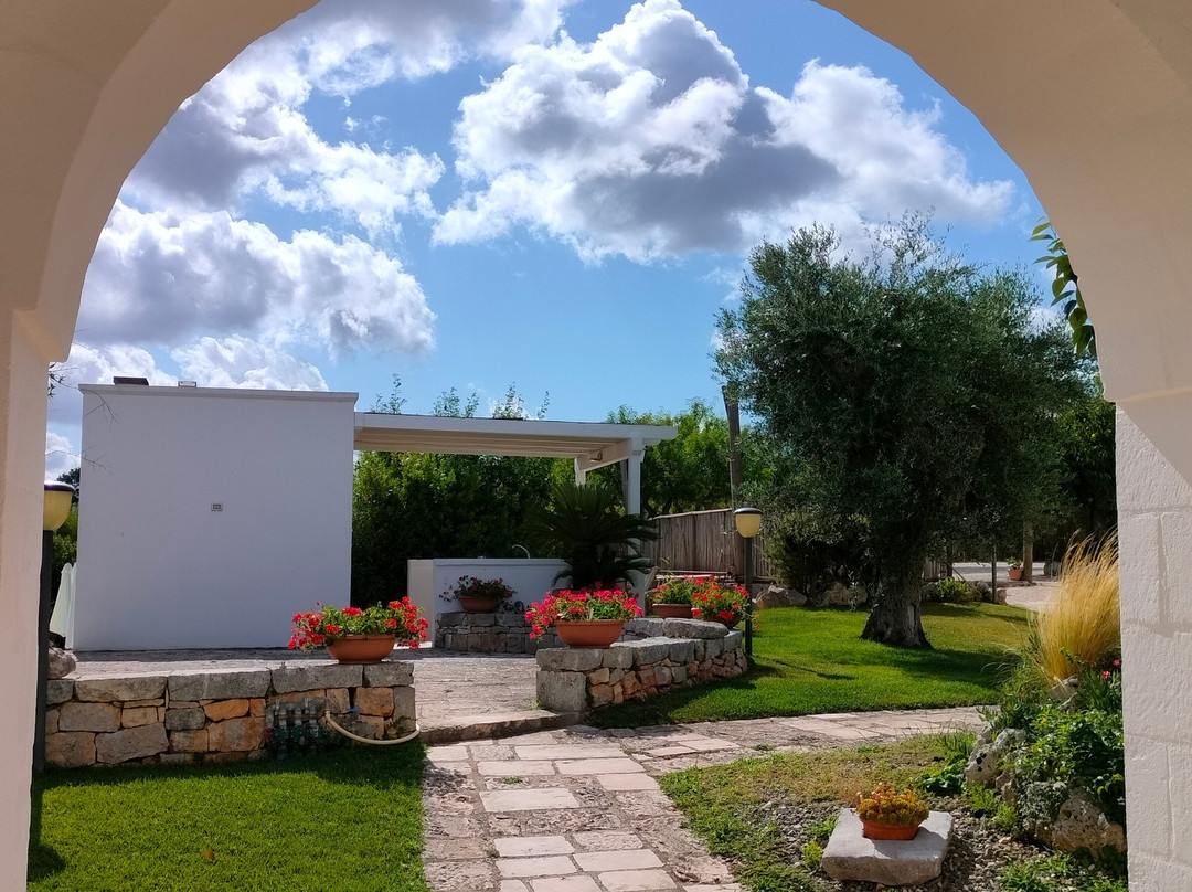 Coppola di Seta主图