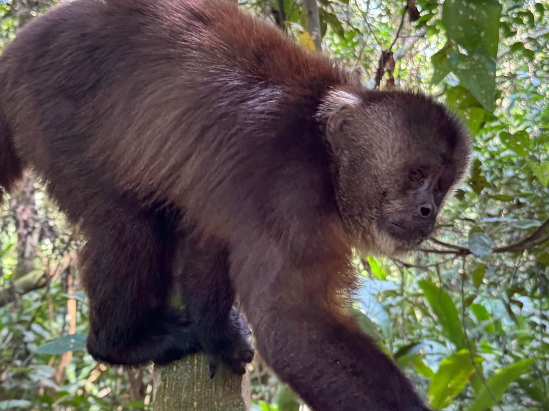 GREEN HOUSE TAMBOPATA-Filadelfia必去景点