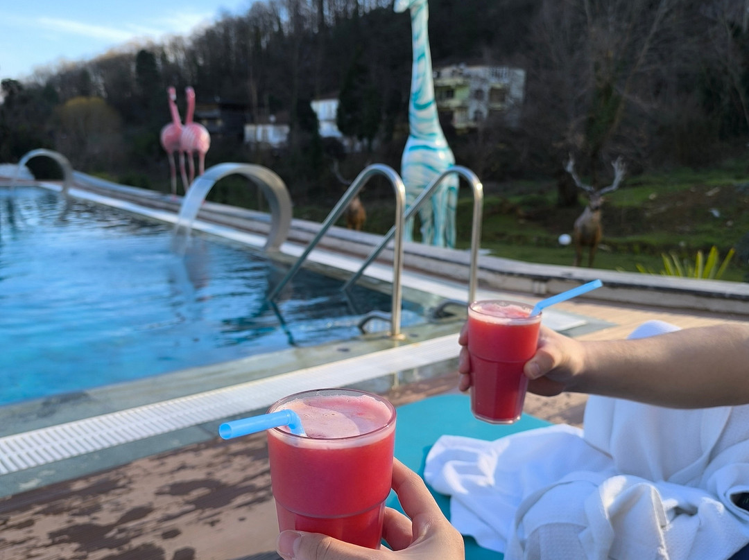 Vital Thermal Hotel & Spa主图