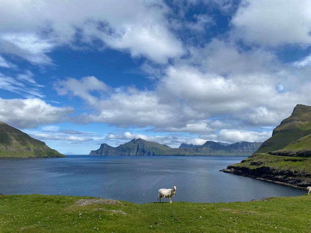 Elduvik Scenic Viewpoint