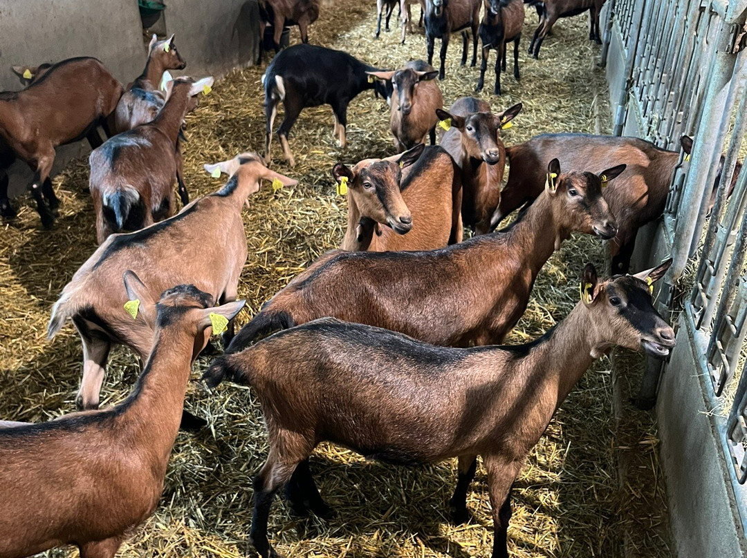 Chevrerie Au Coeur de Montjoie-圣热尔韦莱班必去景点